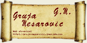 Gruja Mesarović vizit kartica